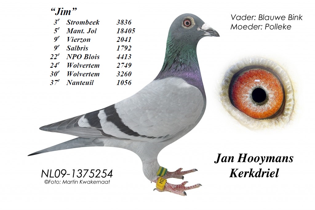 Jim 09-254-1024x682